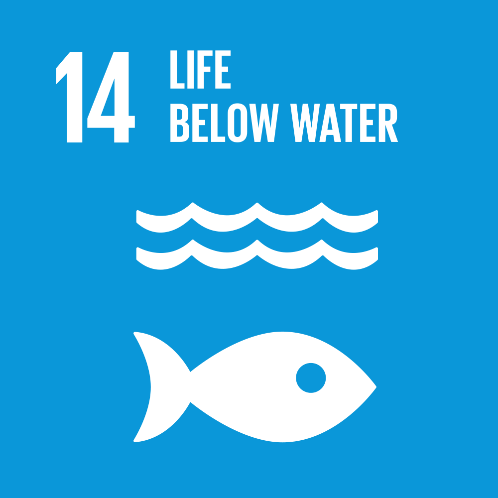 UN SDG